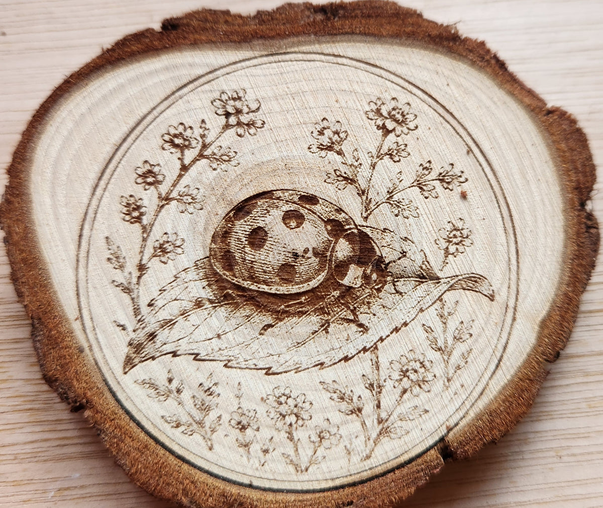 Summer Insects Engraved Wooden Disc Set