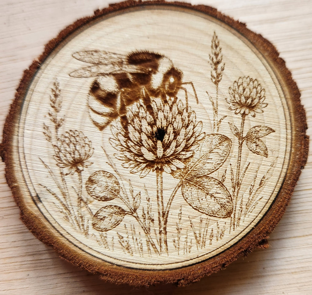 Summer Insects Engraved Wooden Disc Set