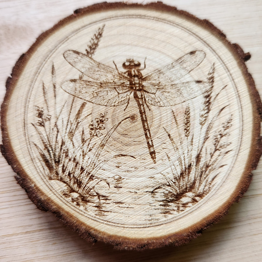 Summer Insects Engraved Wooden Disc Set