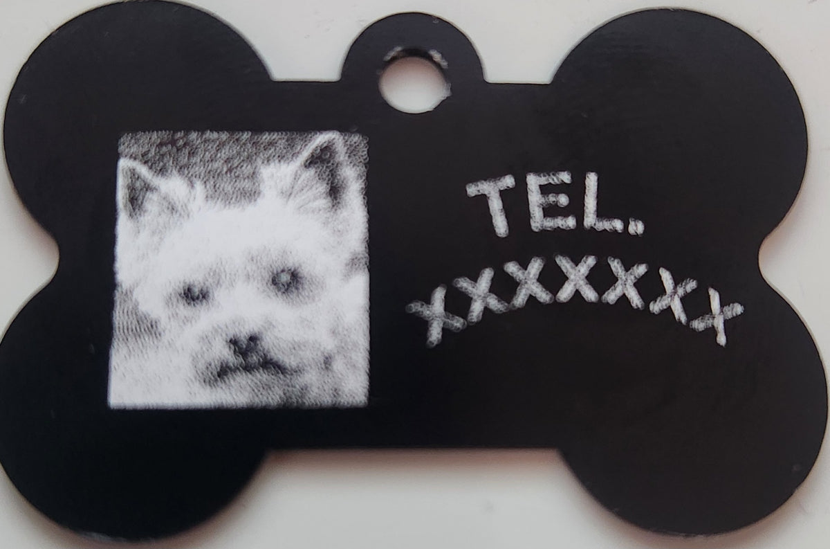 Pet ID tag