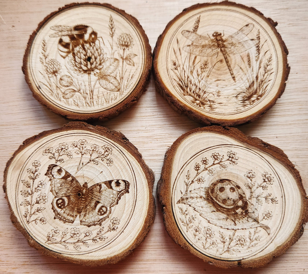 Summer Insects Engraved Wooden Disc Set