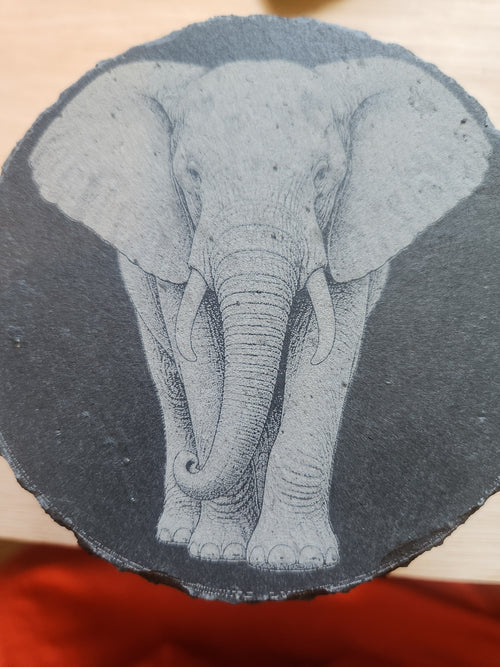 Animal Coasters