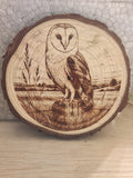 Birds of the UK wooden plaques