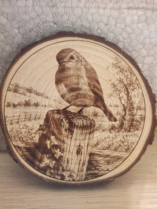 Birds of the UK wooden plaques