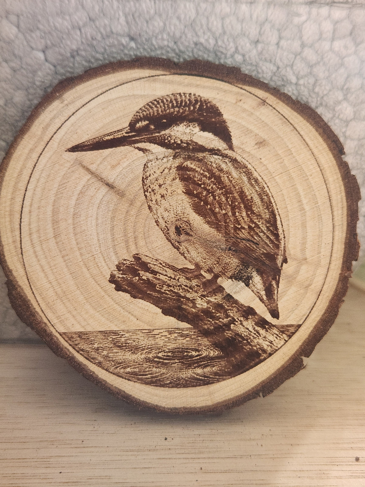 Birds of the UK wooden plaques