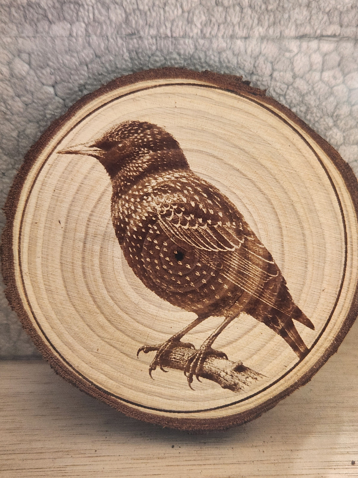 Birds of the UK wooden plaques