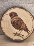 wooden Plaque with a Starling