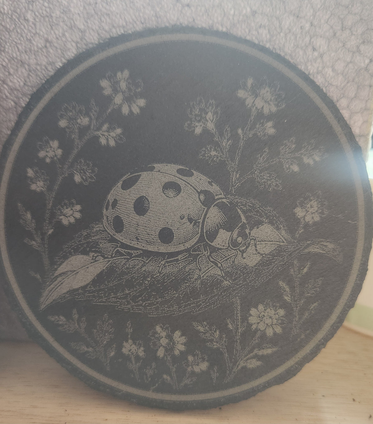 Ladybird slate place matt